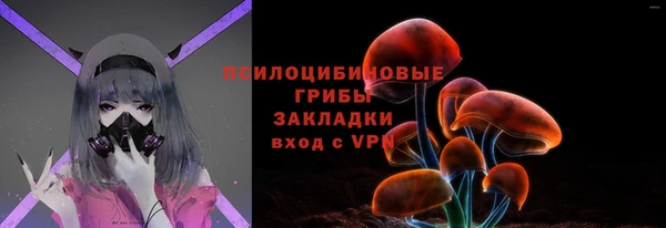 шишки Алексин
