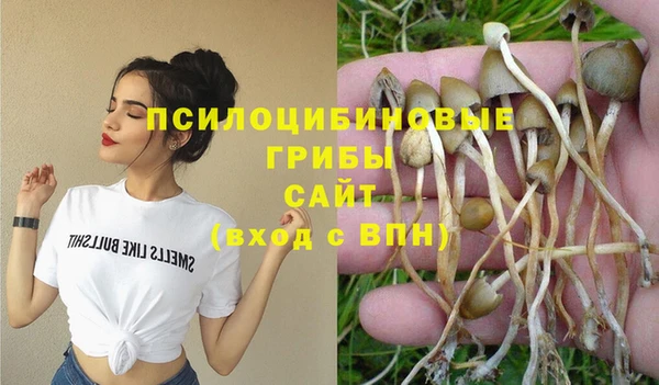 дурь Абдулино