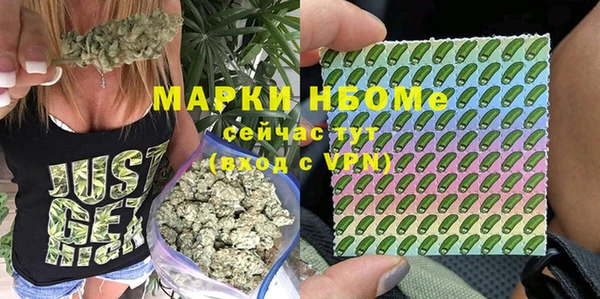 шишки Алексин