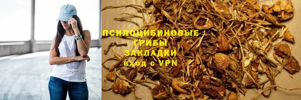 шишки Алексин