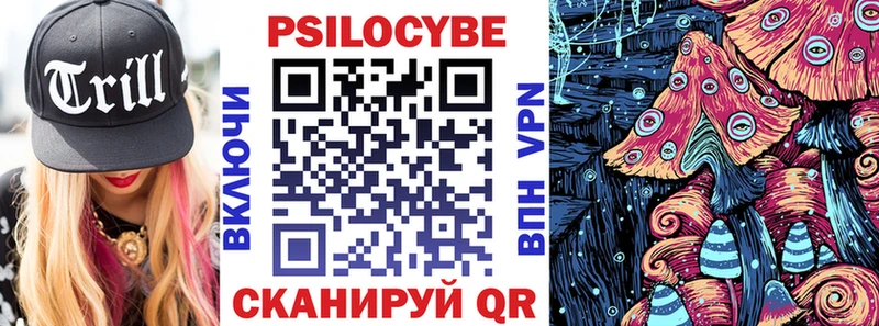 купить наркоту  Урюпинск  Галлюциногенные грибы Psilocybine cubensis 